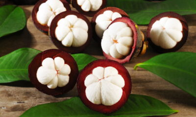 Essa fruta é considerada a melhor do mundo e você pode plantar ela em casa sem dificuldades