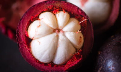 Cultivar mangostão em casa pode parecer um desafio, mas com as técnicas corretas, você pode obter resultados surpreendentes.