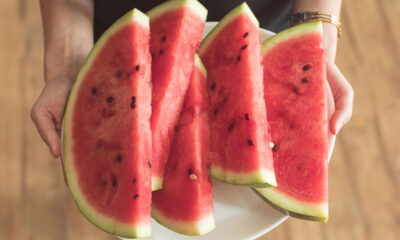 Plantar melancia em casa é totalmente possível, mesmo quando o espaço é limitado. Com as técnicas corretas e alguns cuidados essenciais, é viável cultivar essa fruta deliciosa e refrescante no conforto do seu lar