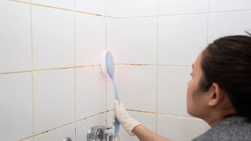 O mofo no banheiro é um problema recorrente, capaz de afetar não só a estética do ambiente, mas também a saúde respiratória dos moradores