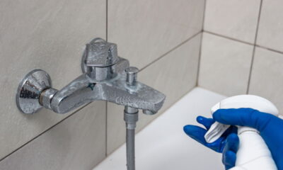 O mofo no banheiro é um problema recorrente, capaz de afetar não só a estética do ambiente, mas também a saúde respiratória dos moradores