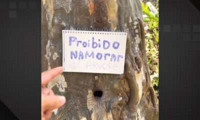 Influenciador coloca placa em árvore após denúncias no Amazonas