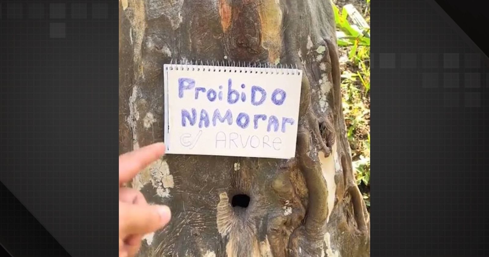 Influenciador coloca placa em árvore após denúncias no Amazonas