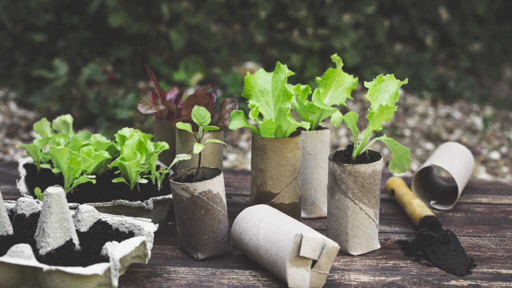 Rolo de papel higiênico