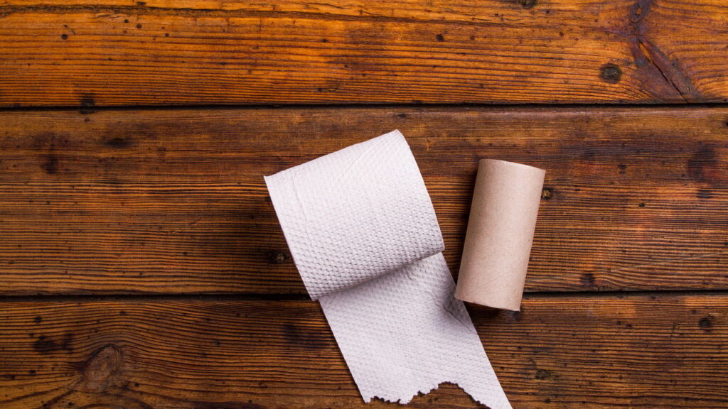 Nem todo papel pode ir para o vaso e esse erro comum está causando mais entupimentos do que muita gente imagina