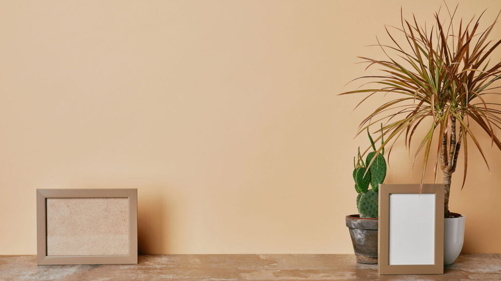 Cor do ano 2025 promete transformar ambientes e trazer sofisticação