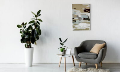 Cor do ano 2025 promete transformar ambientes e trazer sofisticação