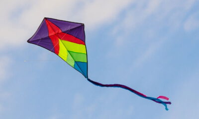 A pipa, também chamada de papagaio ou raia, representa uma tradição cultural que atravessa gerações. Mais do que um brinquedo, ela simboliza criatividade