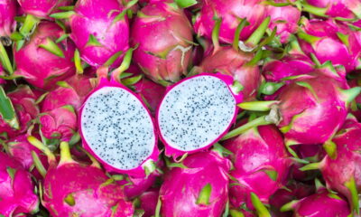 Essa fruta exótica chama atenção pela beleza e surpreende no sabor e nutrição