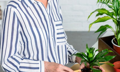 Três plantas poderosas que aceleram o crescimento do cabelo