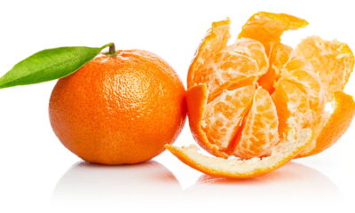 Você já pensou em ter tangerinas frescas colhidas diretamente do seu quintal? Cultivar tangerina em casa