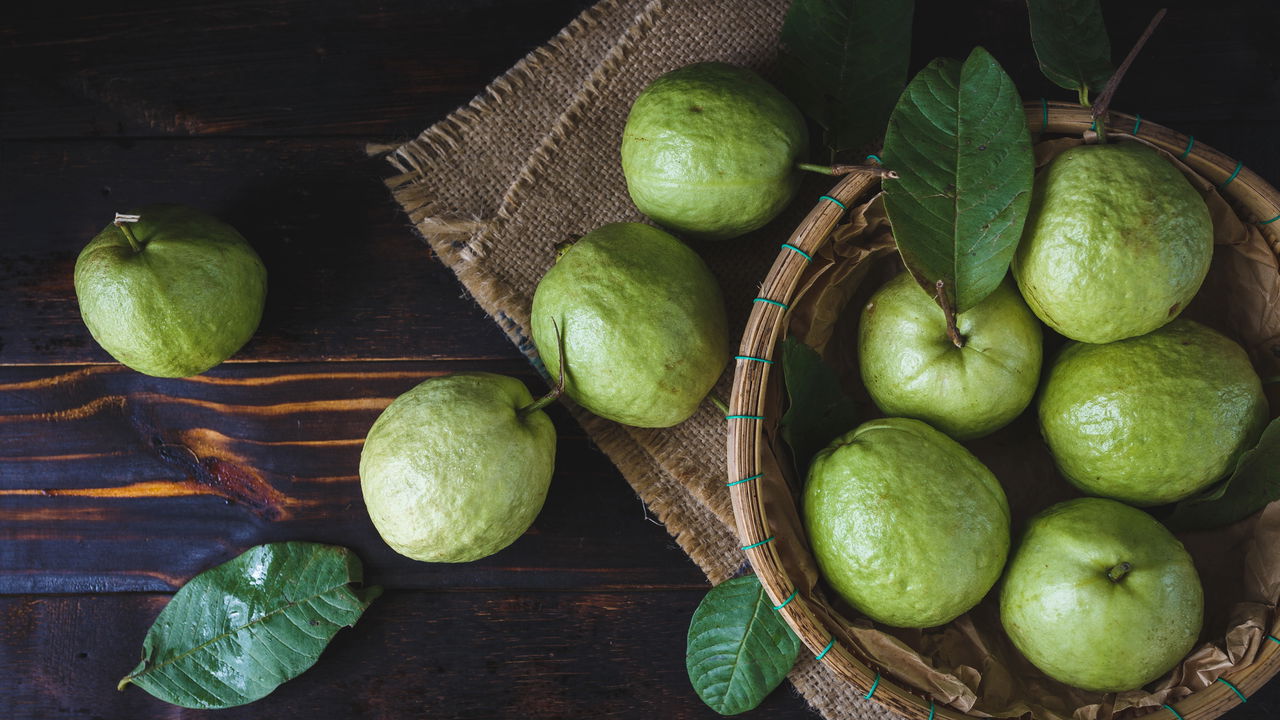 Plantar goiaba em vaso é uma ótima solução para quem deseja desfrutar dessa fruta tropical em ambientes menores, como varandas e pequenos quintais