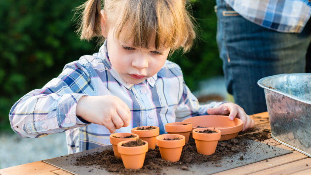 Plantar sementes de limão diretamente no quintal pode parecer simples, mas exige atenção a vários detalhes para garantir um desenvolvimento saudável