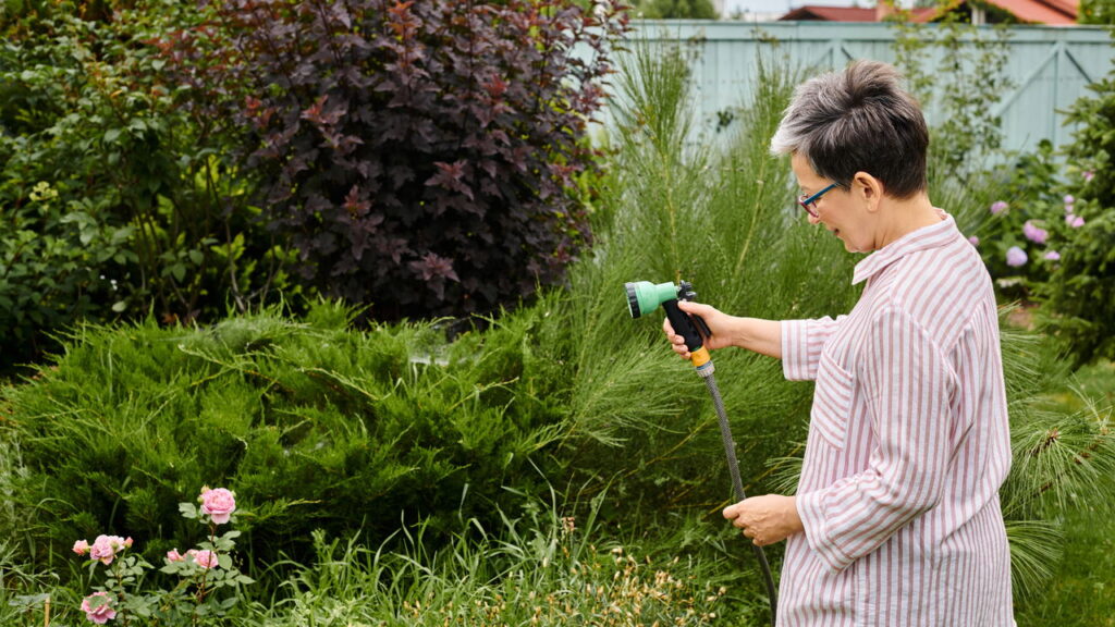 Regar o jardim no horário inadequado pode trazer várias consequências negativas para suas plantas. Além de aumentar o desperdício de água