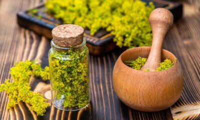 Os benefícios dos chás caseiros para saúde e bem-estar