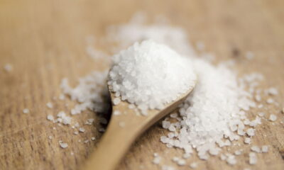 Você sabia que jogar sal grosso na base das plantas pode alterar drasticamente o seu crescimento