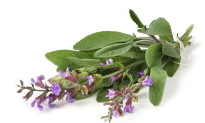 O chá natural que auxilia em dores de garganta