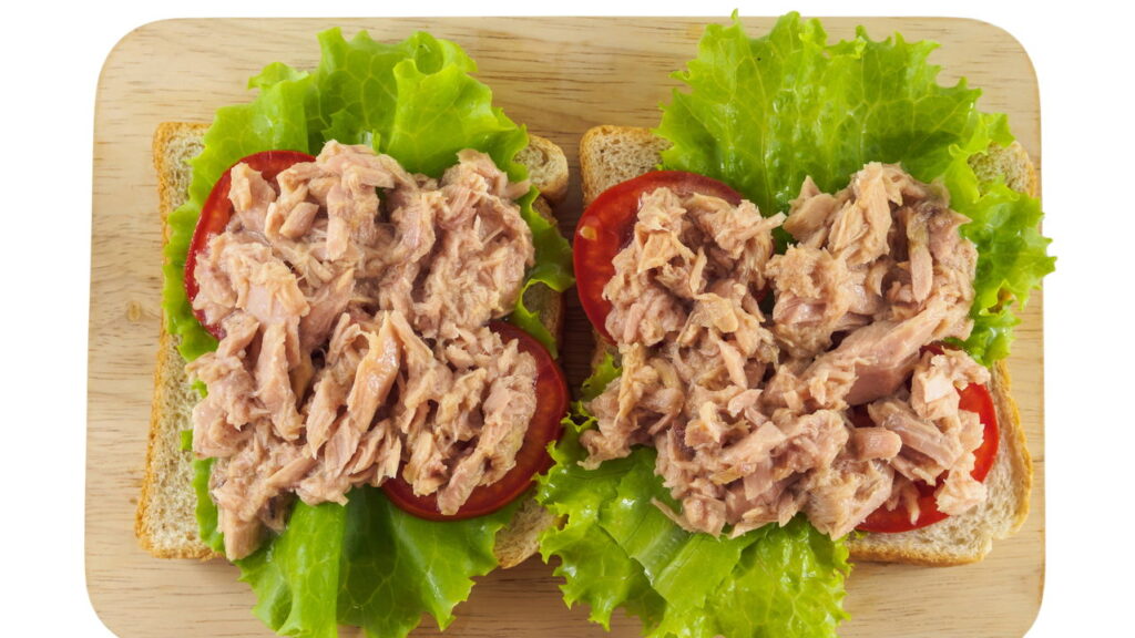 Sanduíche leve e saudável perfeito para dieta
