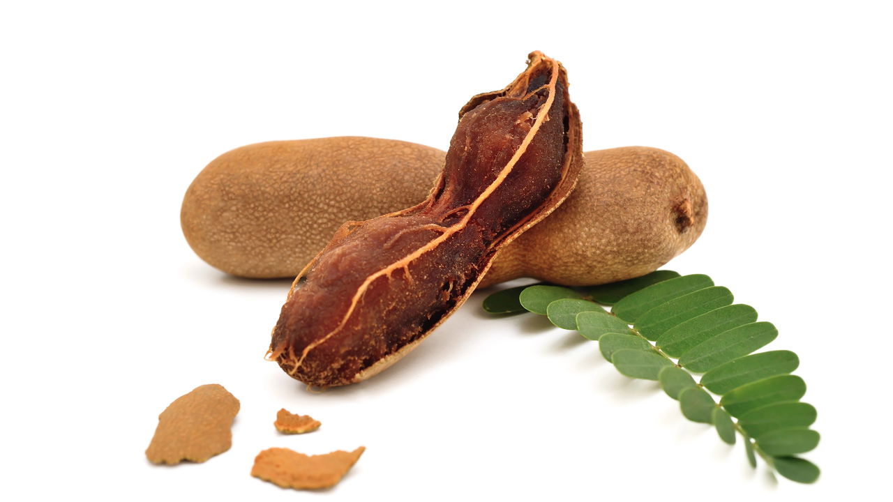 O cultivo de tamarindo em casa é uma experiência recompensadora e válida para quem valoriza frutas exóticas no dia a dia