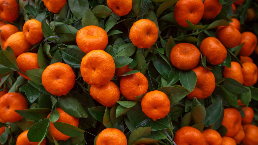 Essa fruta revela a sua cidade pelo nome que você usa para chamá-la