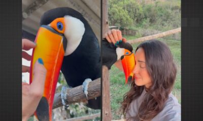Momento de carinho entre Michelle Amaro e a tucaninha Lulua em Congonhal