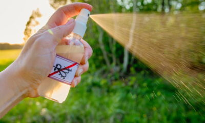 Você já pensou que a borra de café pode ser um poderoso aliado contra pragas no jardim