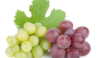 Escolher entre uvas verdes e uvas moradas pode parecer simples, mas cada tipo oferece benefícios únicos para a saúde