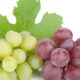 Escolher entre uvas verdes e uvas moradas pode parecer simples, mas cada tipo oferece benefícios únicos para a saúde