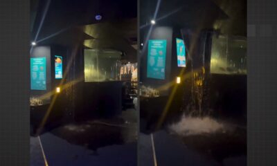 Vazamento em tanque derruba parte do teto no AquaRio, no Rio