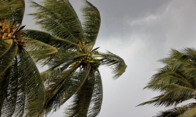 Furacão Melissa deixa quase 50 mortos no Haiti e na Jamaica; vídeo