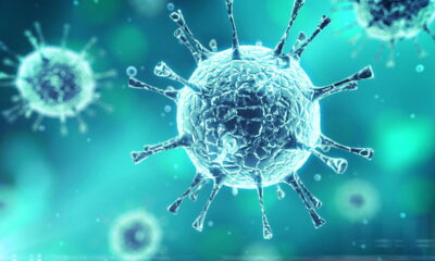 O termo vírus frequentemente gera dúvidas quanto à sua forma plural, principalmente pela influência de outras palavras da língua portuguesa