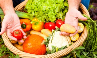 Evitar desperdício em casa começa com o jeito certo de planejar as refeições