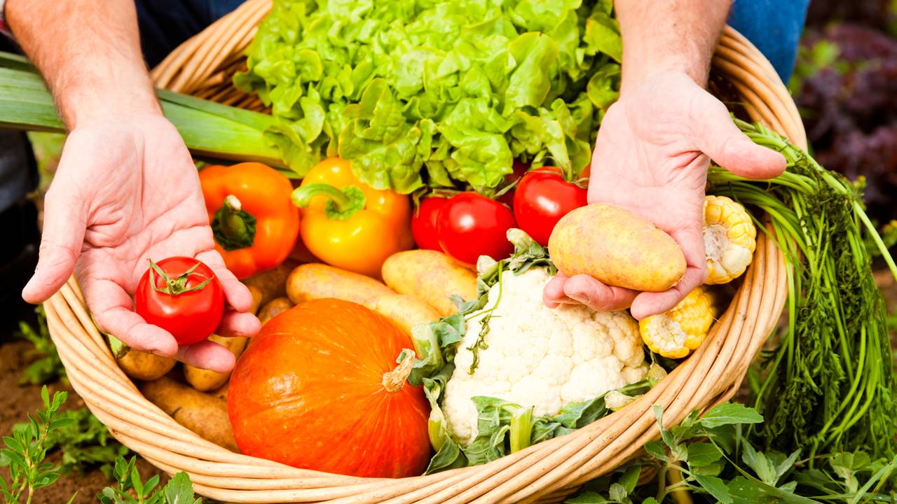 Evitar desperdício em casa começa com o jeito certo de planejar as refeições