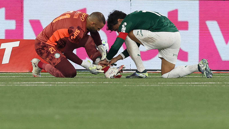 O goleiro Weverton e o jogador Gustavo Gómez (D), da SE Palmeiras, em jogo contra a equipe do Botafogo FR, durante partida válida pela vigésima rodada, do Campeonato Brasileiro, Série A, no Esteadio Nilton Santos. (Foto: Cesar Greco/Palmeiras/by Canon)