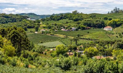 O Sul do Brasil e o encanto que conquista quem busca viver bem