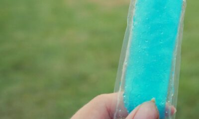 No Brasil, algumas tradições culinárias alcançam uma popularidade que atravessa gerações, regiões e sotaques. O sacolé, conhecido em São Paulo como geladinho, é um desses exemplos que destacam a riqueza cultural e a diversidade de um país continental. Este refrescante doce caseiro é parte integrante do cotidiano de muitas cidades brasileiras, desde os verões mais quentes até as festas de bairro, ressaltando como cultura e identidade local influenciam até mesmo a denominação de alimentos.