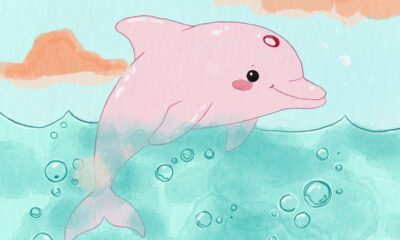 Qual é o feminino de "boto-cor-de-rosa"?