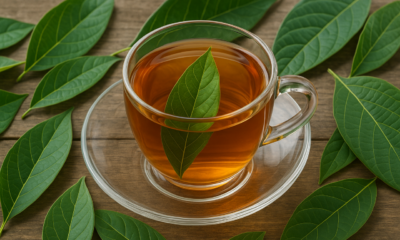 Receita de chá de folha de abacate que virou febre entre os amantes da vida saudável