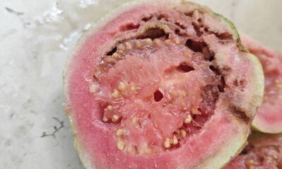 Como acabar com goiabas bichadas usando cuidados simples