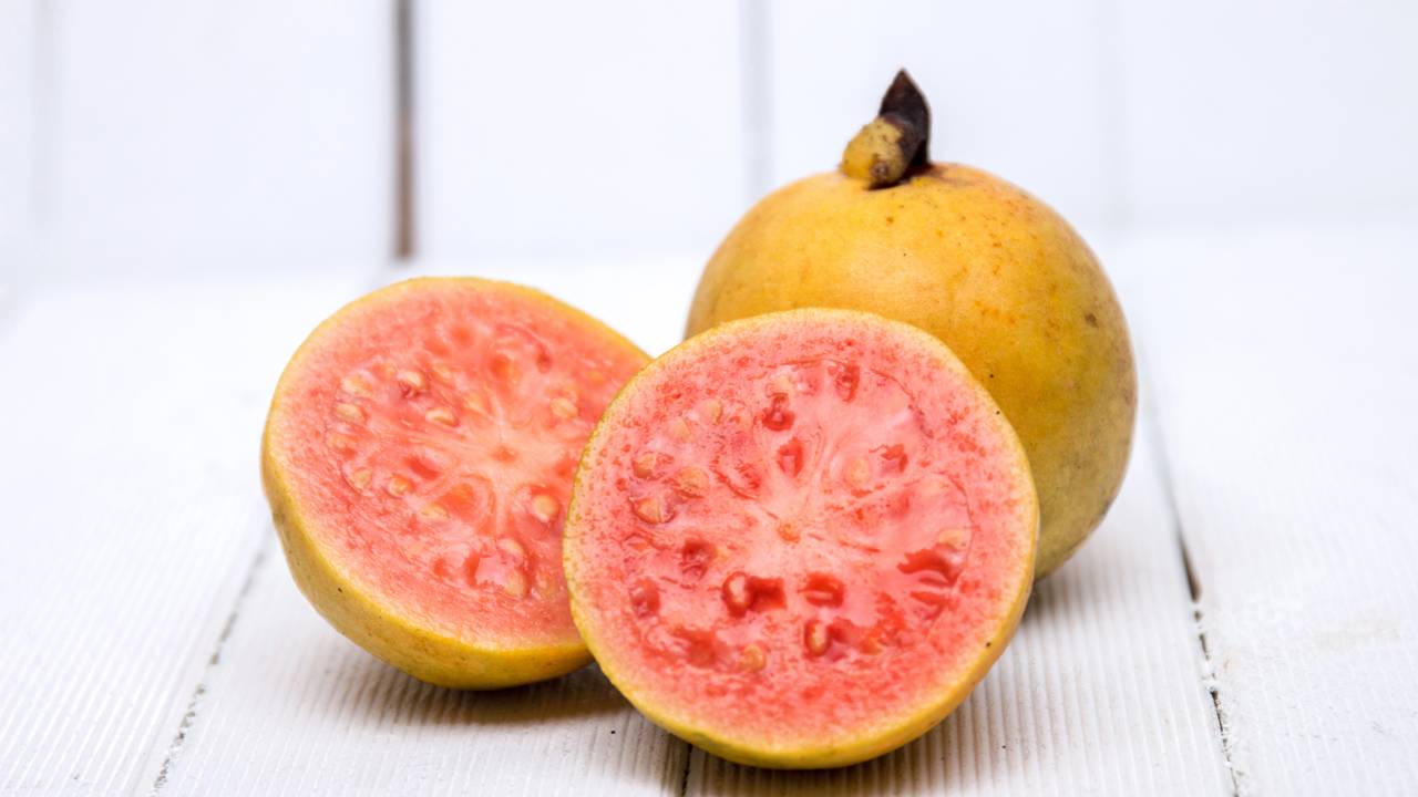 Perder frutos antes de amadurecer é um problema comum enfrentado por muitos agricultores e jardineiros que cultivam a goiabeira