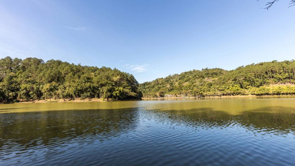 O Sul do Brasil e o encanto que conquista quem busca viver bem