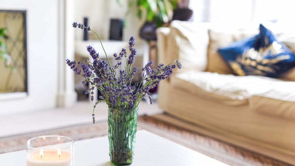 Essa planta perfumada é ideal para quem mora em apartamento