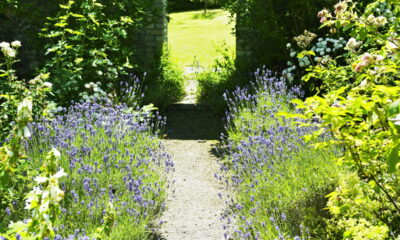 Setembro marca o início da primavera, tornando-se o mês ideal para revitalizar o jardim com flores que permanecem exuberantes até o verão