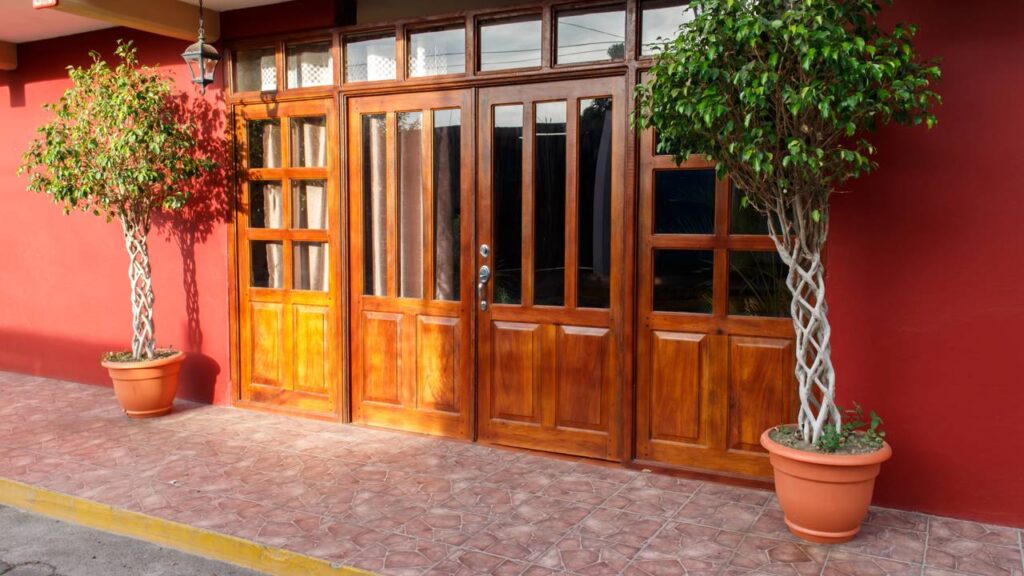 Segundo o feng shui, existe uma planta que traz sorte e harmonia pra casa