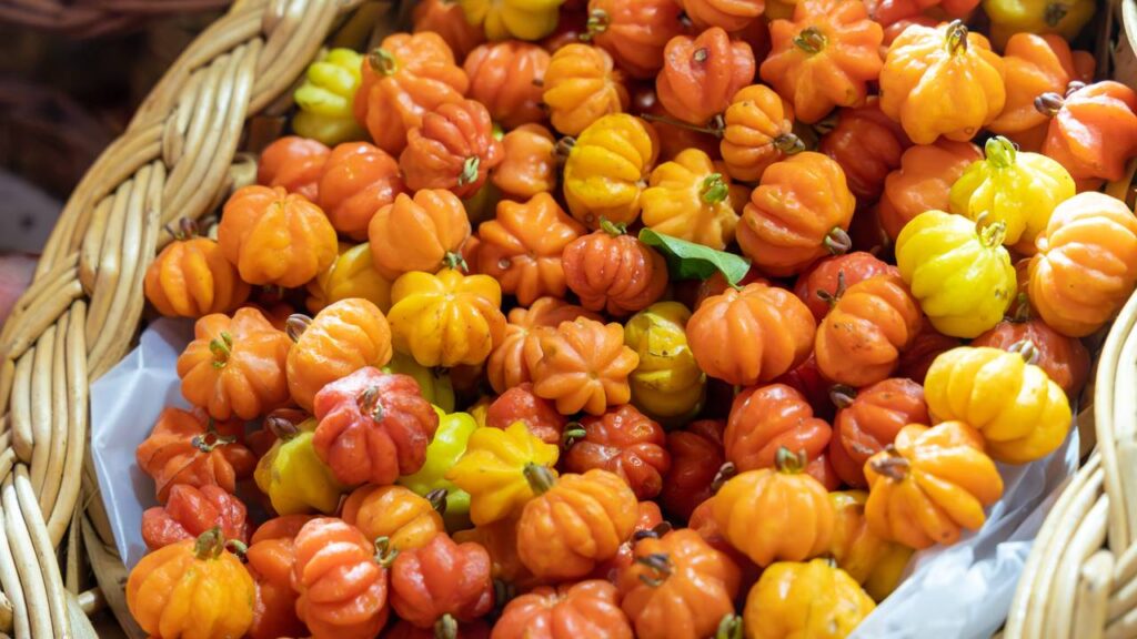 Pitanga para beleza como usar a fruta no rosto e no cabelo