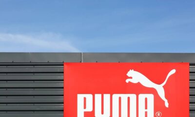 Justiça analisa disputa entre duas marcas por uso de felino em logotipo