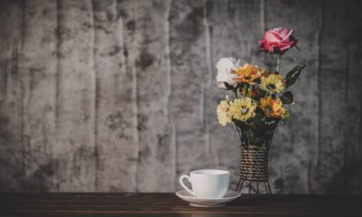 Dicas simples que transformam vasos comuns em peças elegantes e modernas