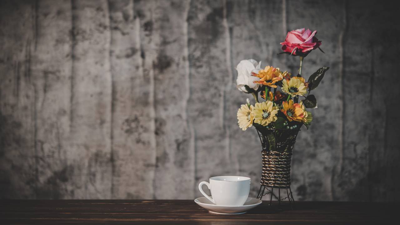 Dicas simples que transformam vasos comuns em peças elegantes e modernas