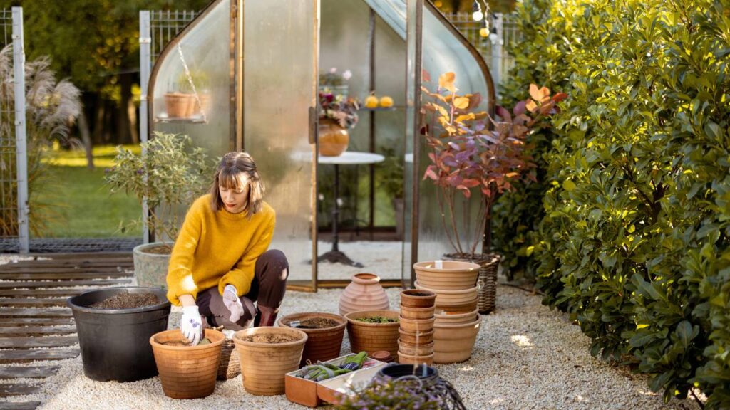 Dicas simples que transformam vasos comuns em peças elegantes e modernas