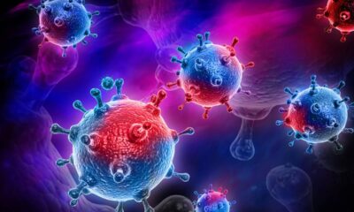 Qual o plural de vírus?